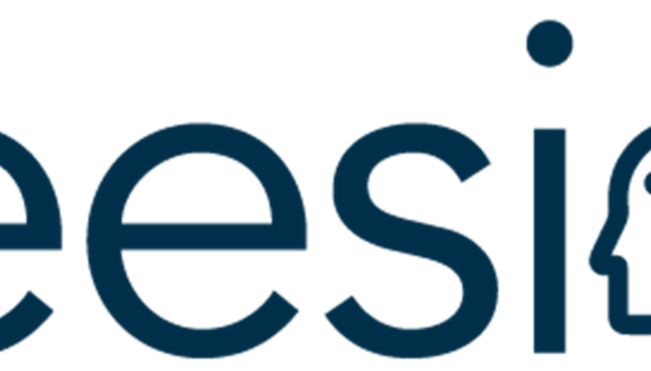 Veesion's team photo