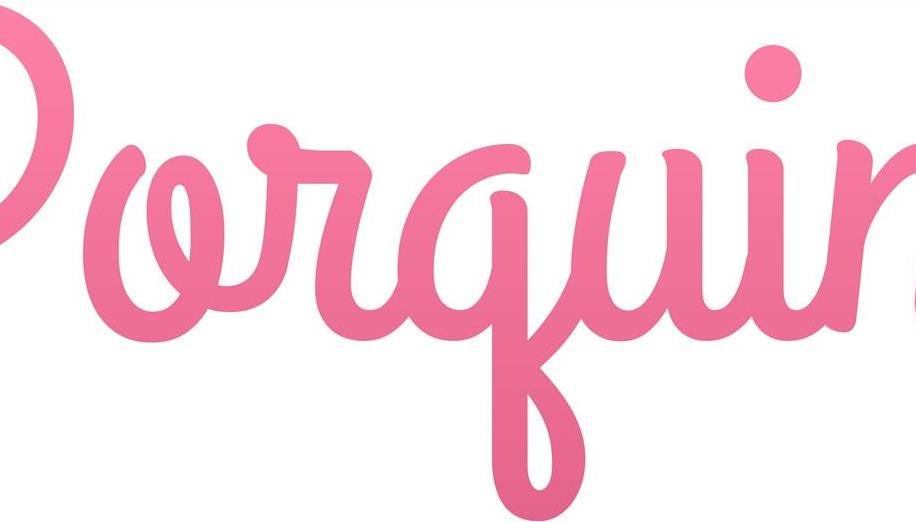 Porquin's team photo