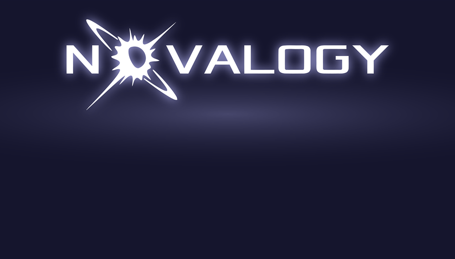 Novalogy's team photo