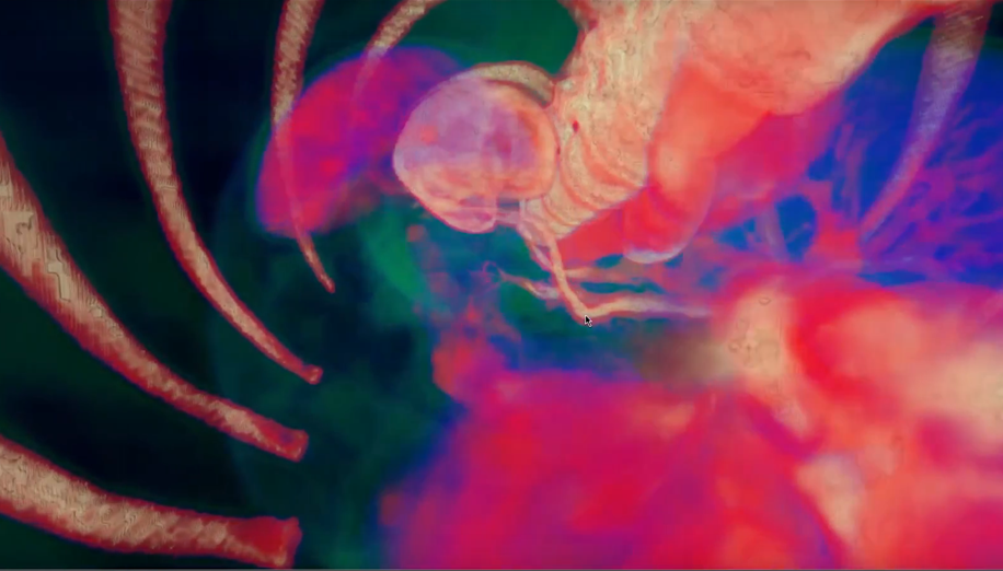 RealVol's team photo